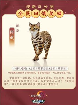 天龙八部私服新开网